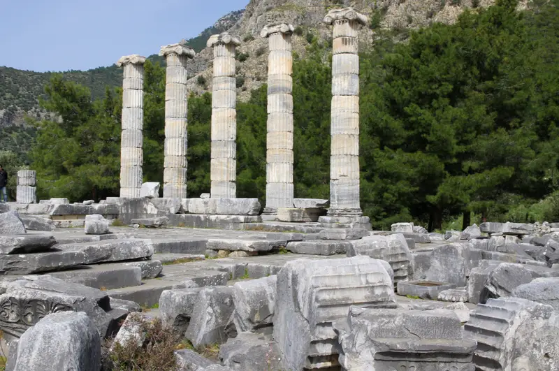 Cité antique de Priène Aydın